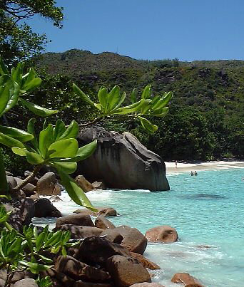 Anse_Lazio_Mouillage_Seychelles